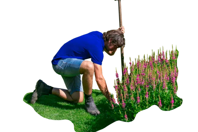 Tuinonderhoud Hoveniersbedrijf Goes
