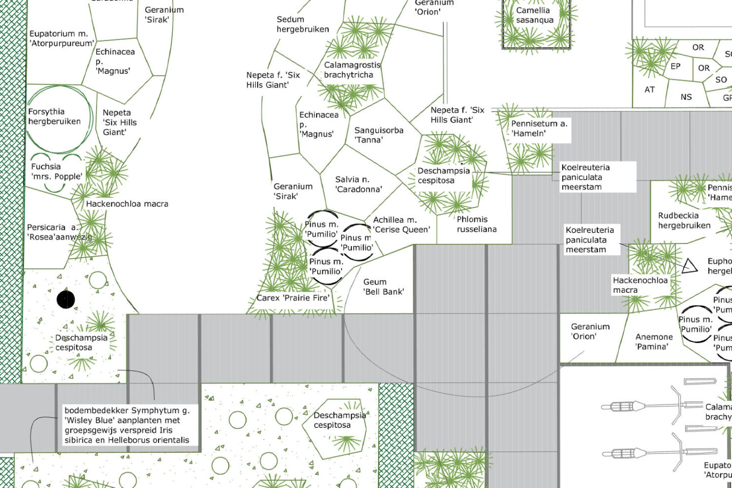 Beplantingsplan ontwerp en aanleg tuin