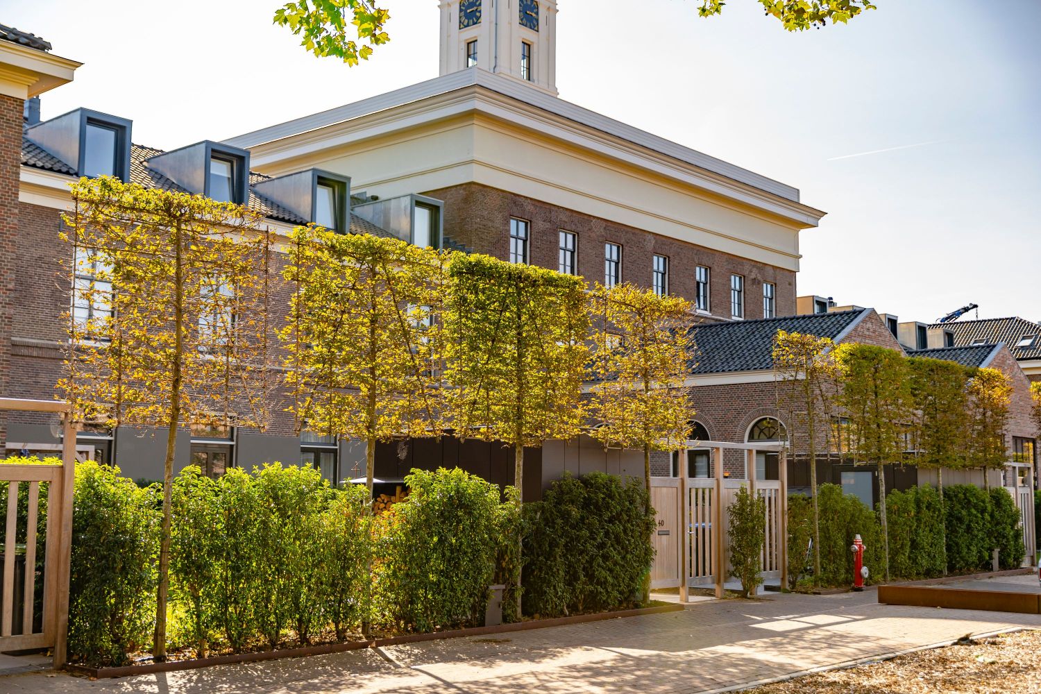 Beheer en groenonderhoud Rijksmonument boomverzorging