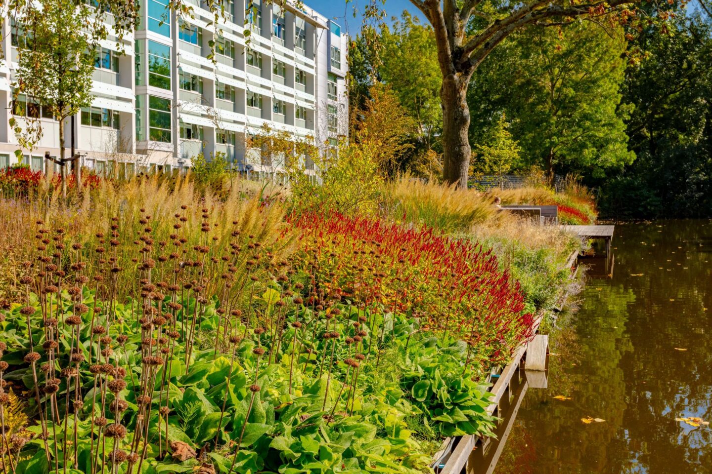 Ontwerp en aanleg park Delft beplanting beplantingsplan