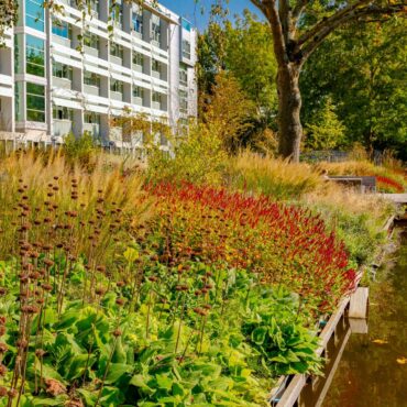 Ontwerp en aanleg park Delft beplanting beplantingsplan