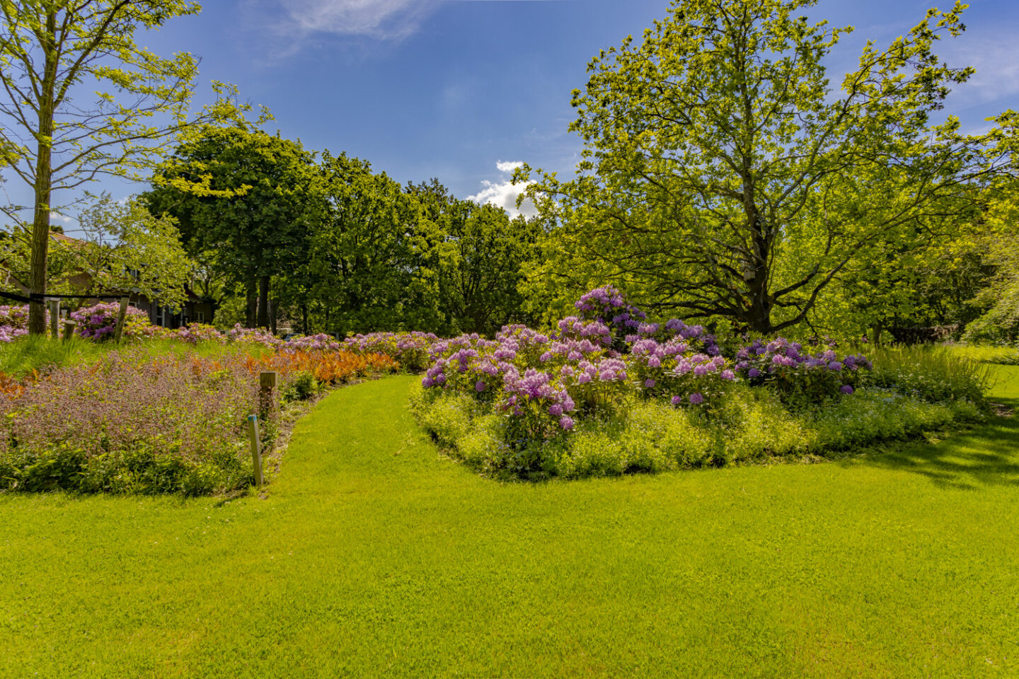 Beplanting, ontwerp en aanleg landgoed in duingebied Santpoort