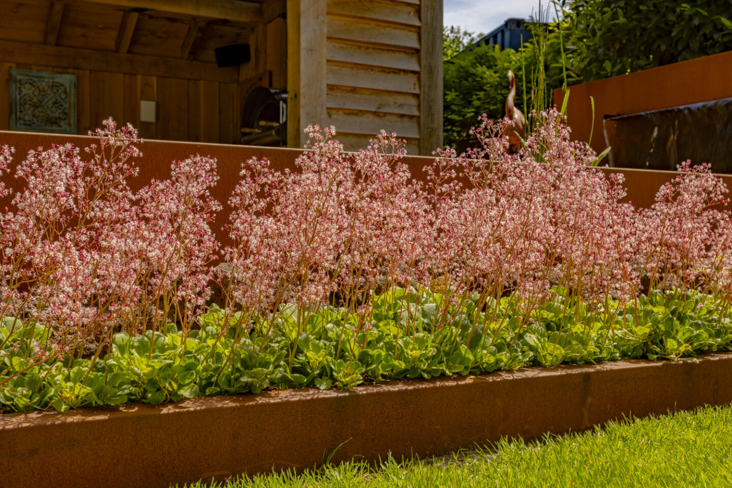 Beplanting, ontwerp en aanleg van ruimtelijke achtertuin